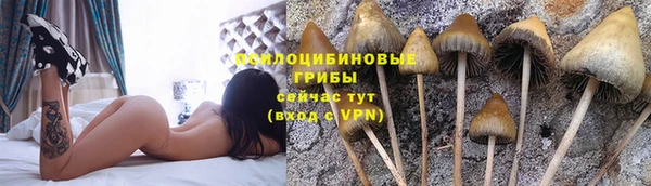 хмурый Алексин