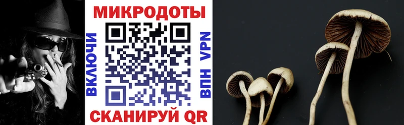 Галлюциногенные грибы GOLDEN TEACHER  Кизилюрт 
